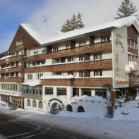 Hirschen Hotel 4*