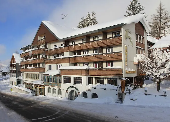 Hirschen Hotel 4*